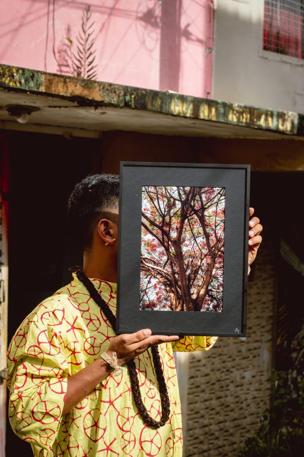 Bordado Flamboyant